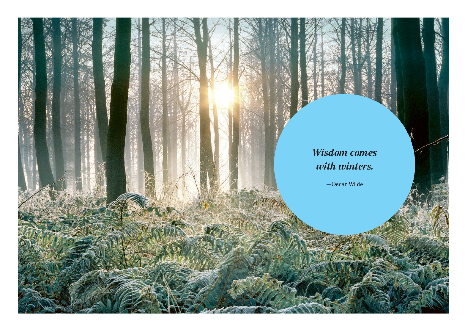 Pleasures of Wintering