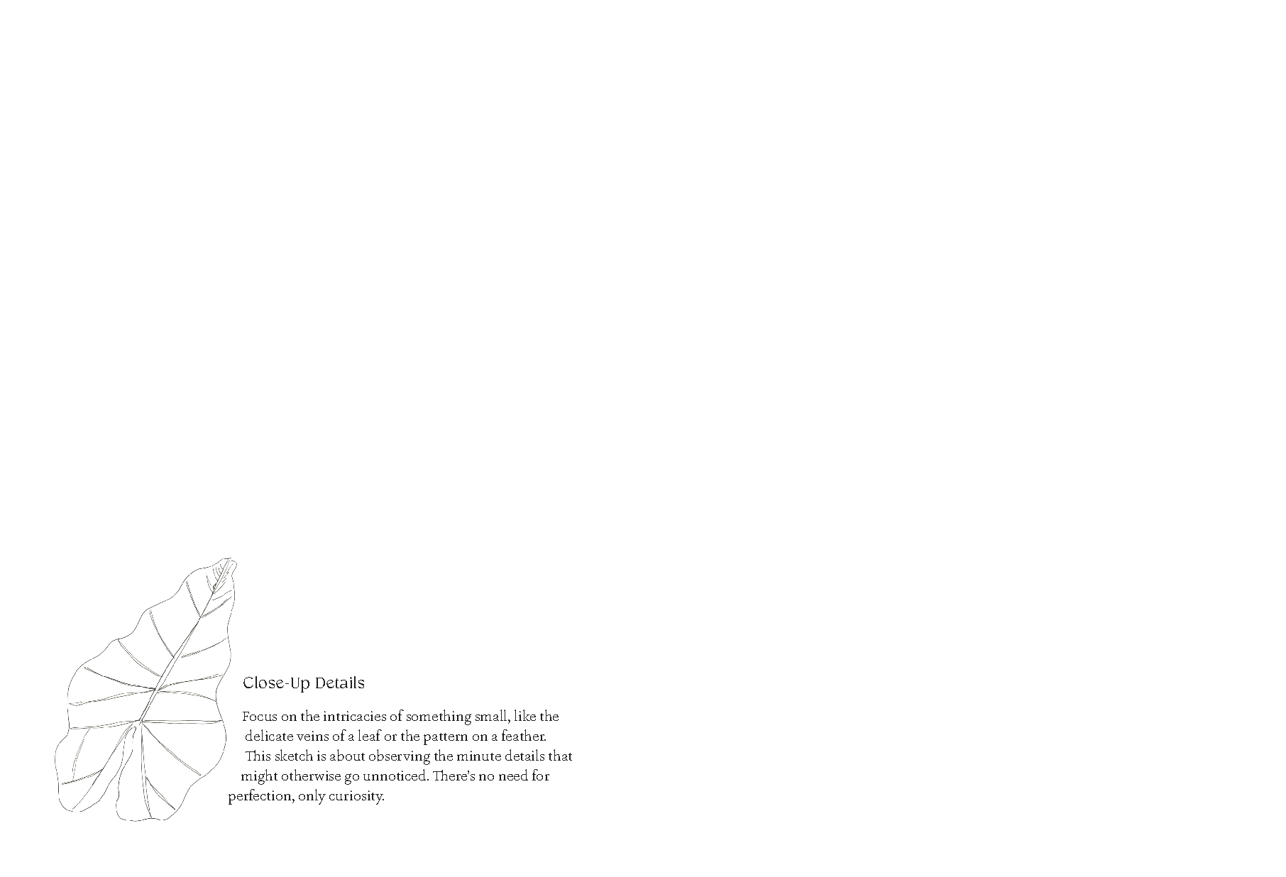 Quiet Moments: A Guided Sketchbook