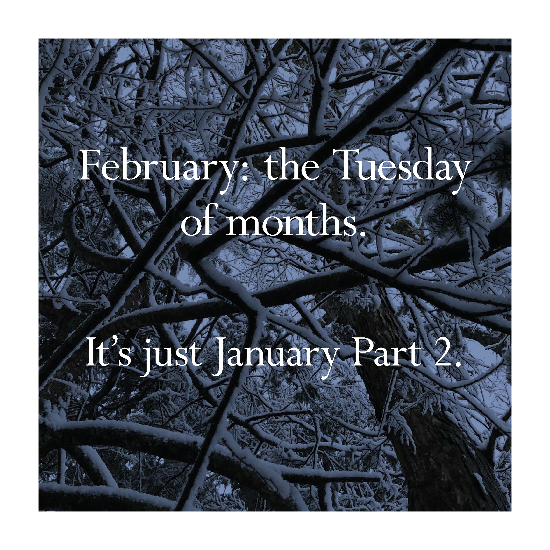 Disappointing Affirmations 2027 Wall Calendar