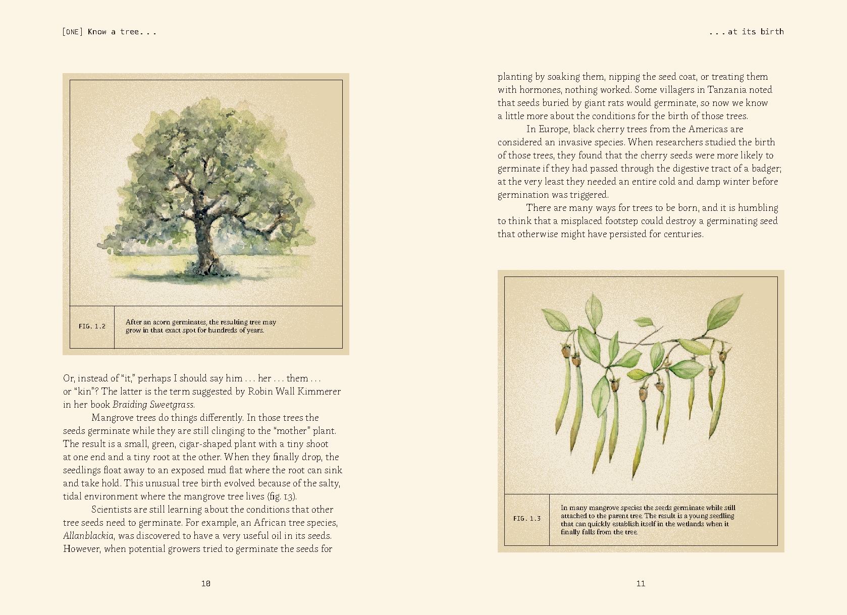 Forty Ways to Know a Tree