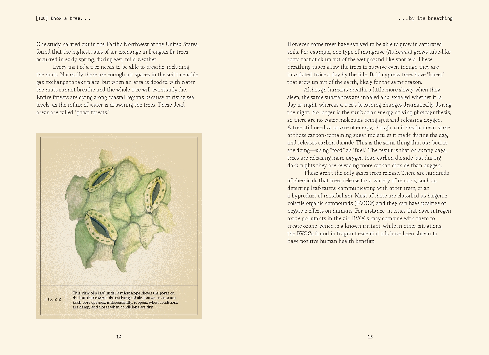 Forty Ways to Know a Tree