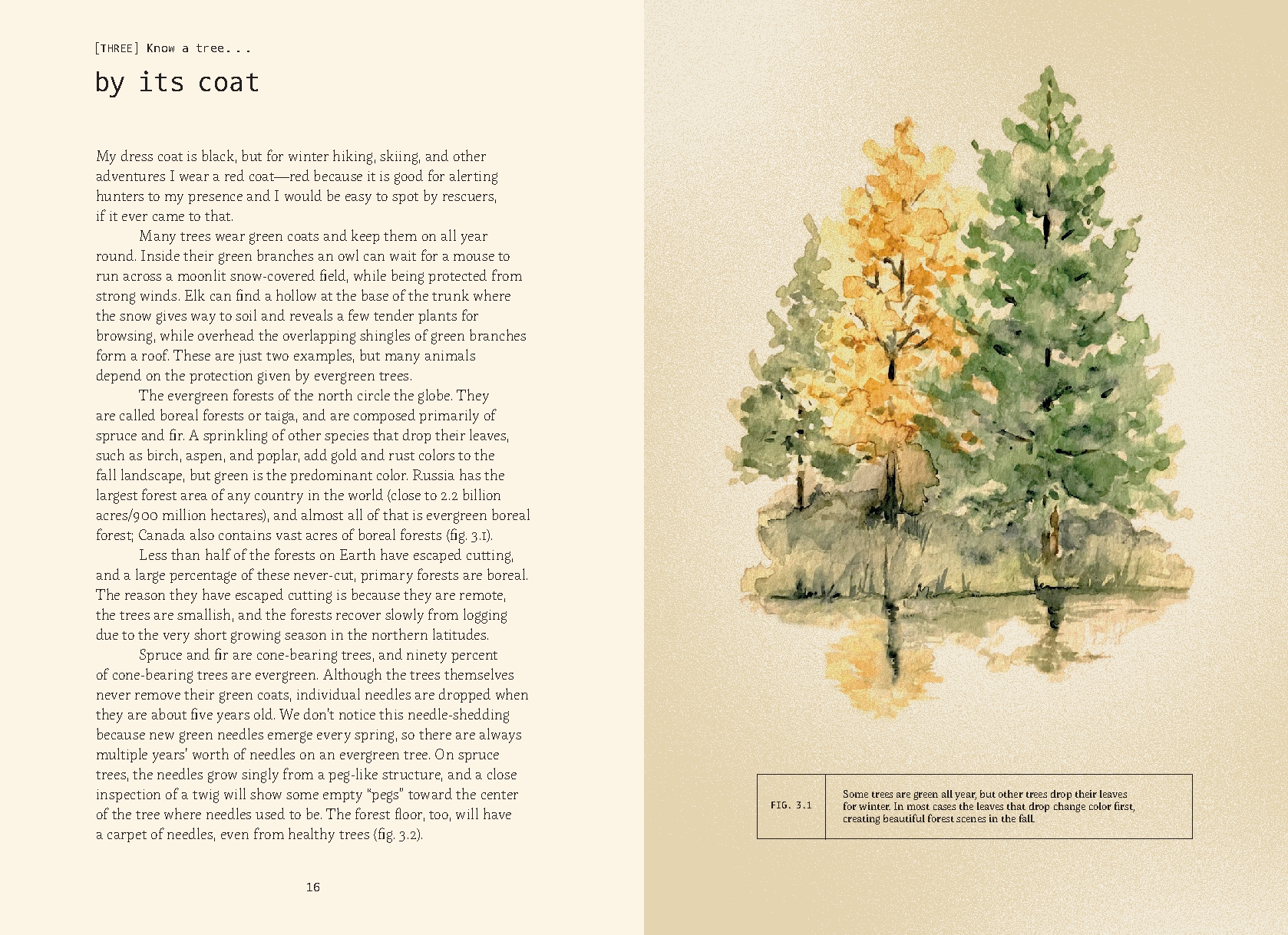 Forty Ways to Know a Tree