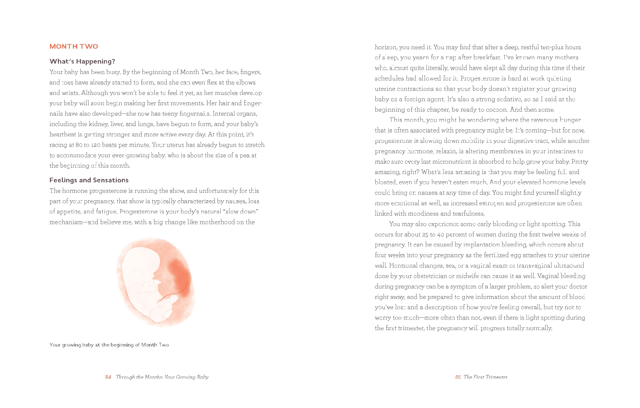 Nurture (Revised and Expanded Edition)