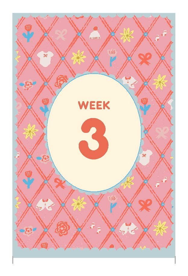 Expecting 411's Pregnancy Deck