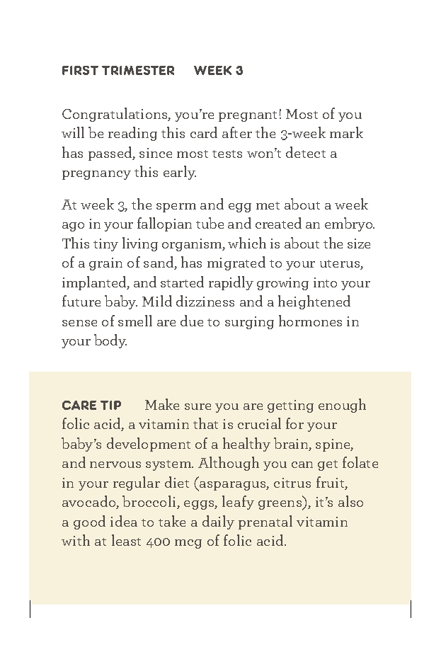 Expecting 411's Pregnancy Deck