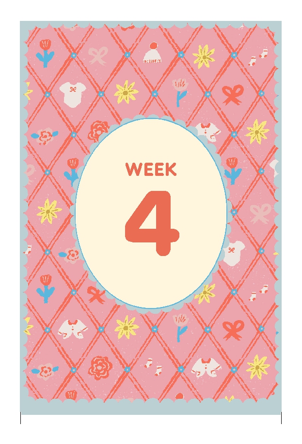 Expecting 411's Pregnancy Deck