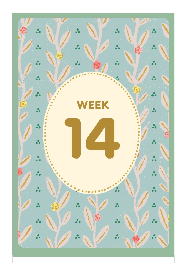 Expecting 411's Pregnancy Deck