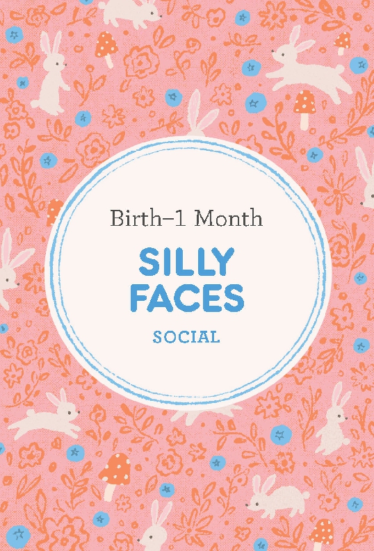 Baby 411's First Year Deck