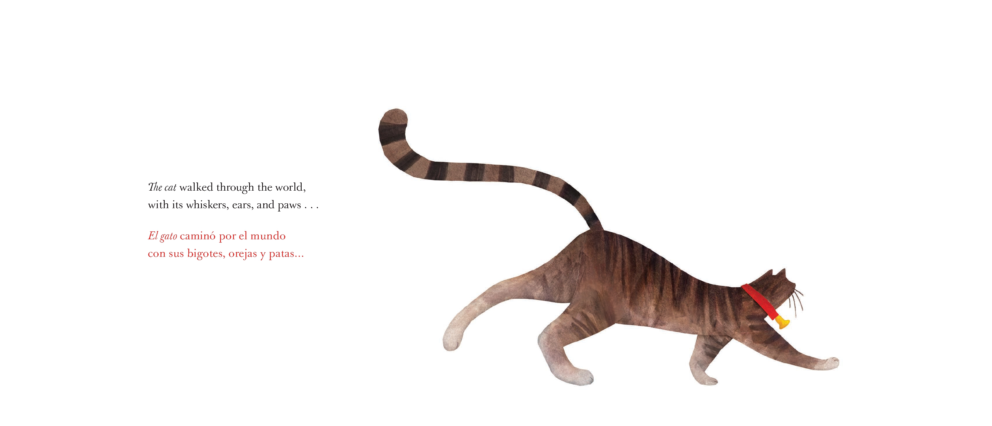 They All Saw a Cat/Todos vieron un gato (English-Spanish Bilingual Edition)