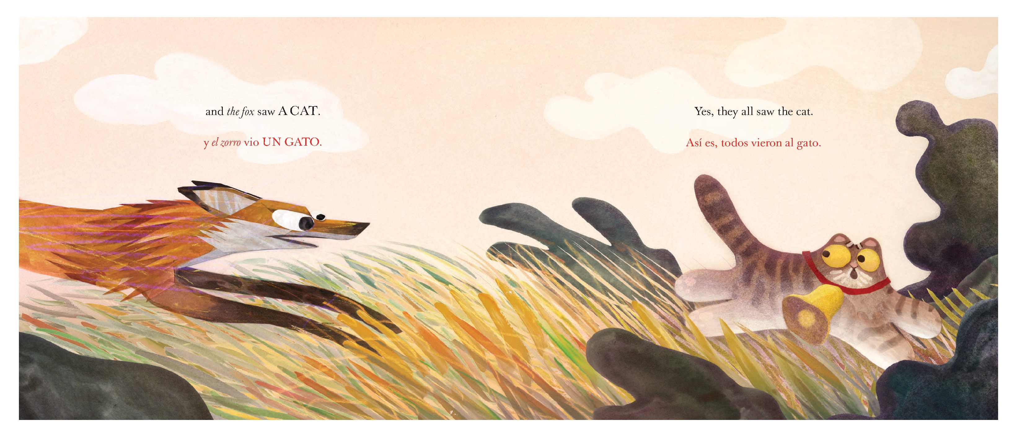 They All Saw a Cat/Todos vieron un gato (English-Spanish Bilingual Edition)
