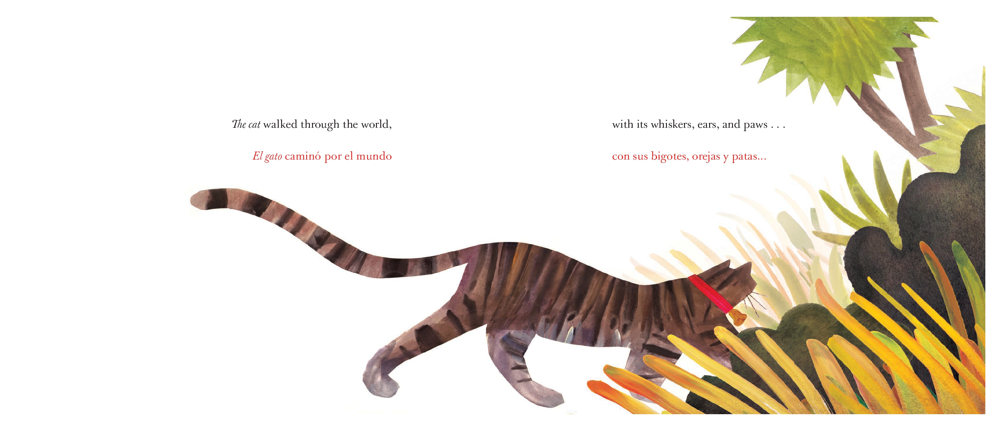 They All Saw a Cat/Todos vieron un gato (English-Spanish Bilingual Edition)