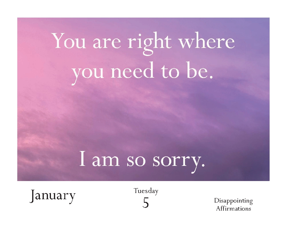 Disappointing Affirmations 2027 Daily Calendar
