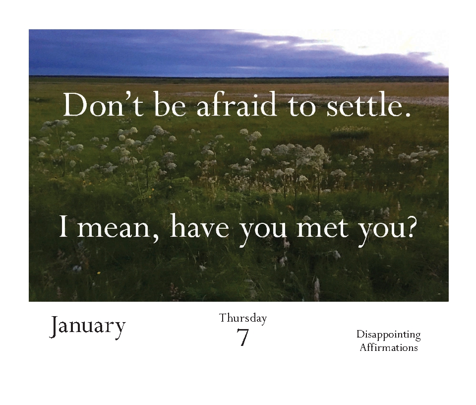 Disappointing Affirmations 2027 Daily Calendar