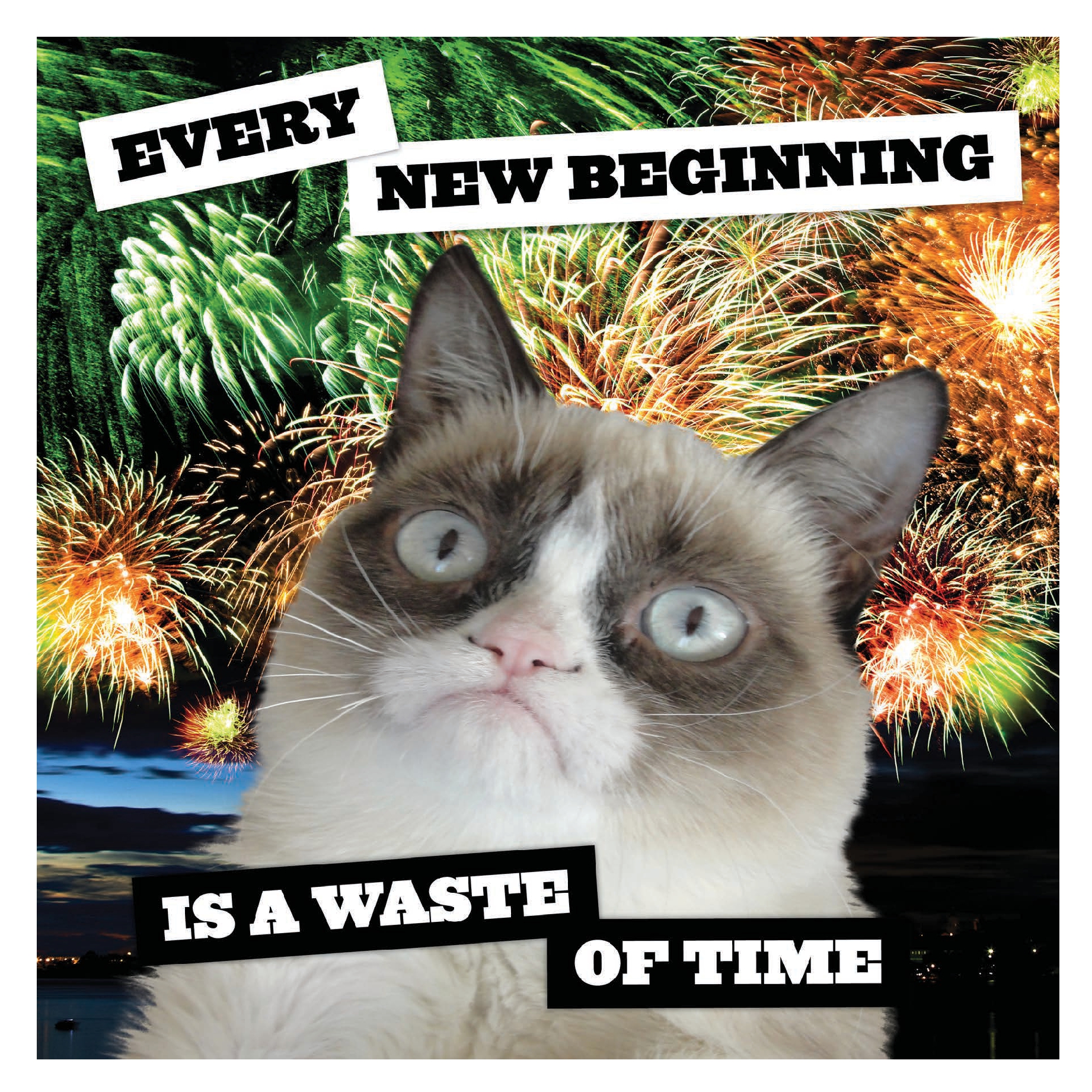 Grumpy Cat 2027 Wall Calendar
