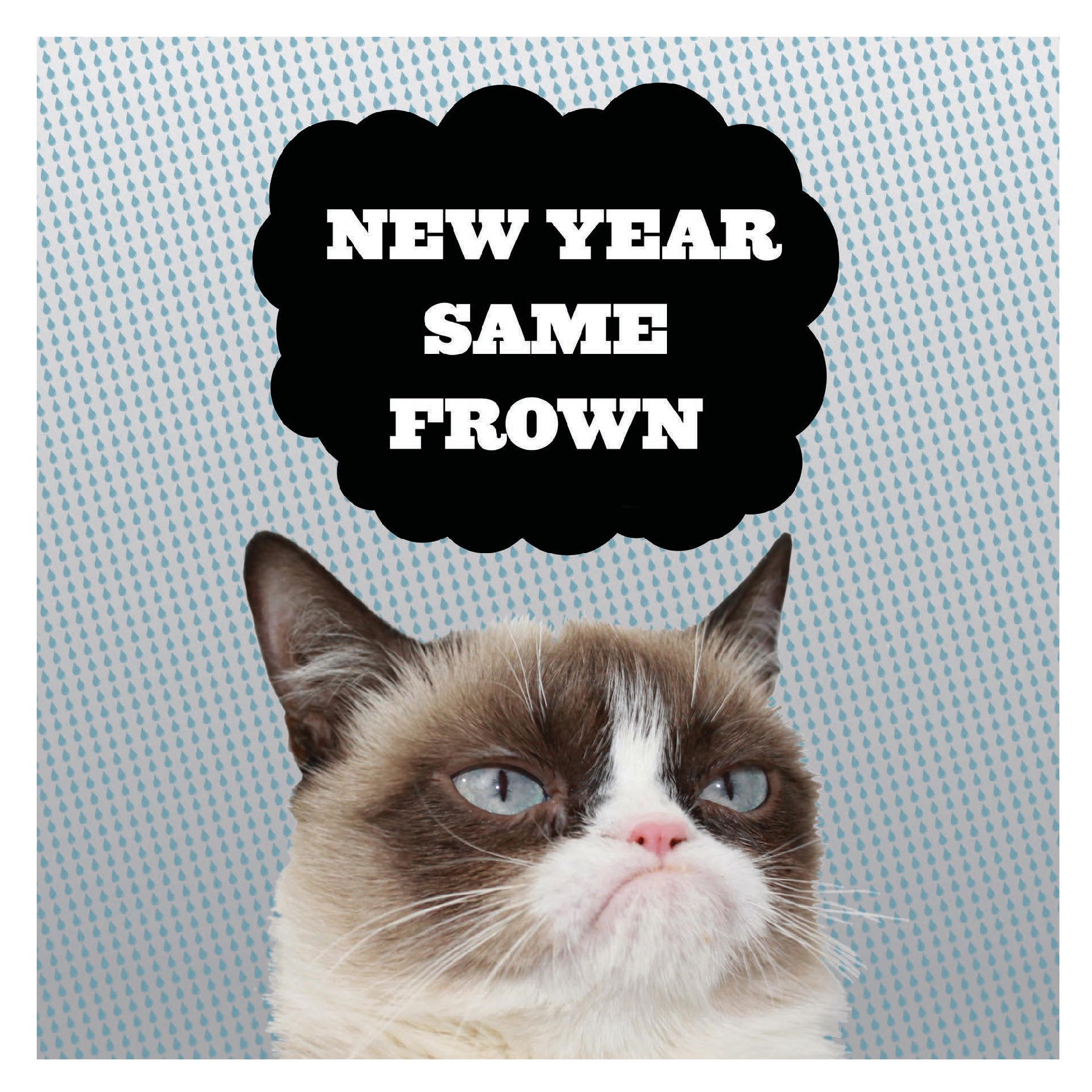 Grumpy Cat 2027 Wall Calendar