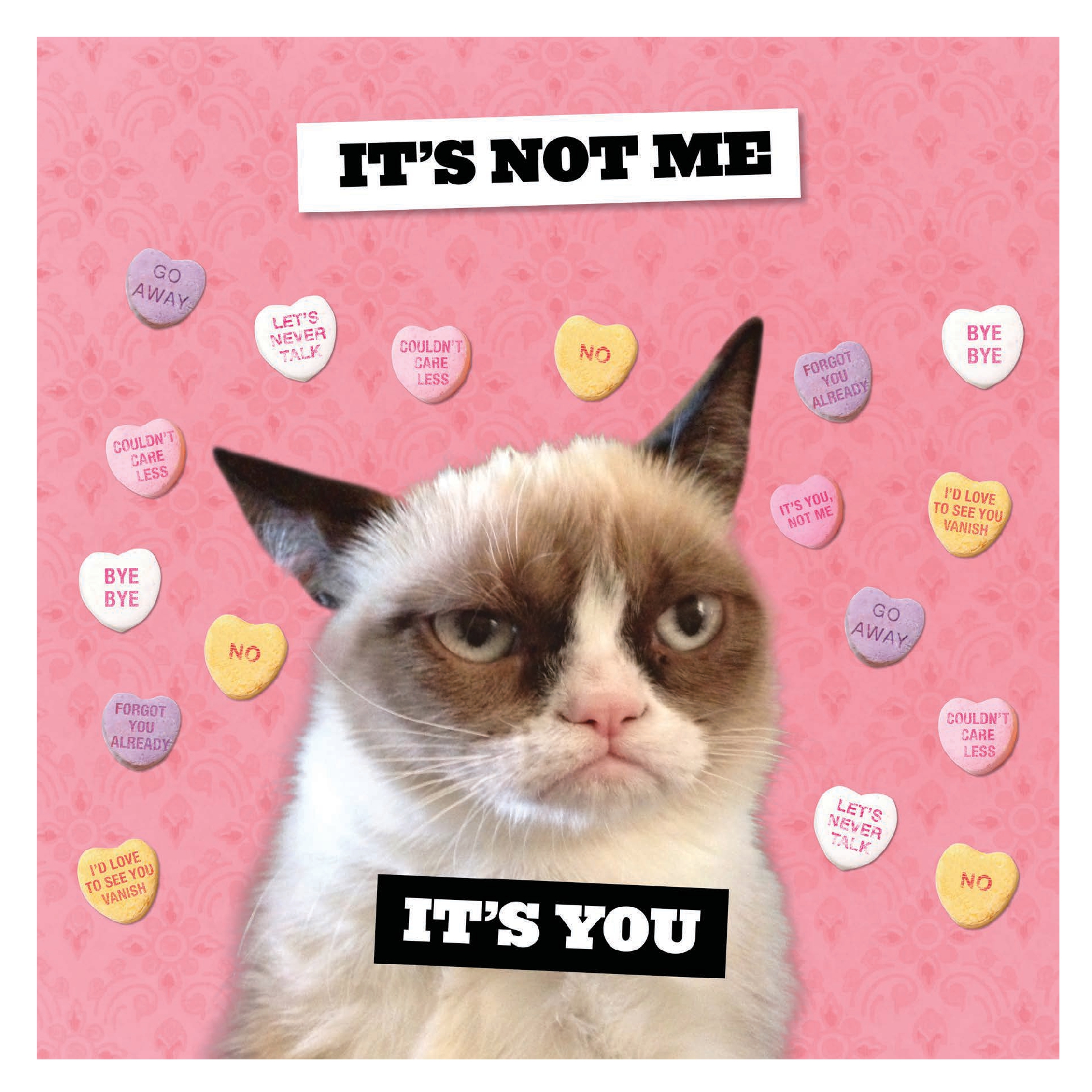 Grumpy Cat 2027 Wall Calendar