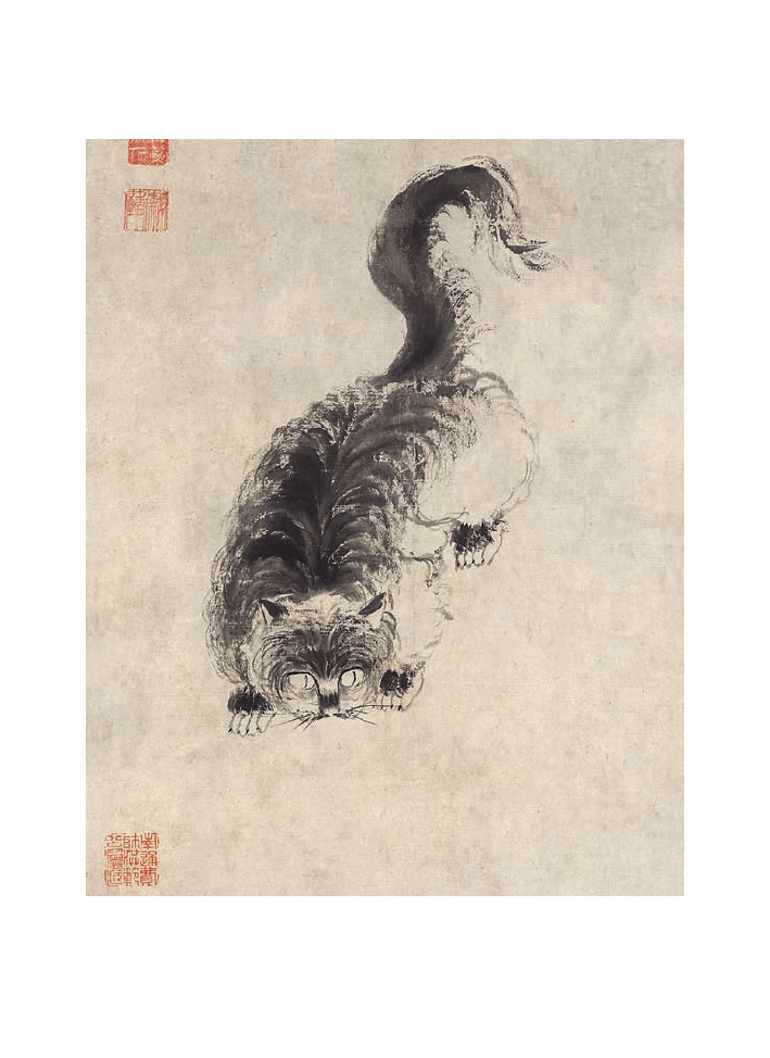 Cats of the V&A: 50 Postcards