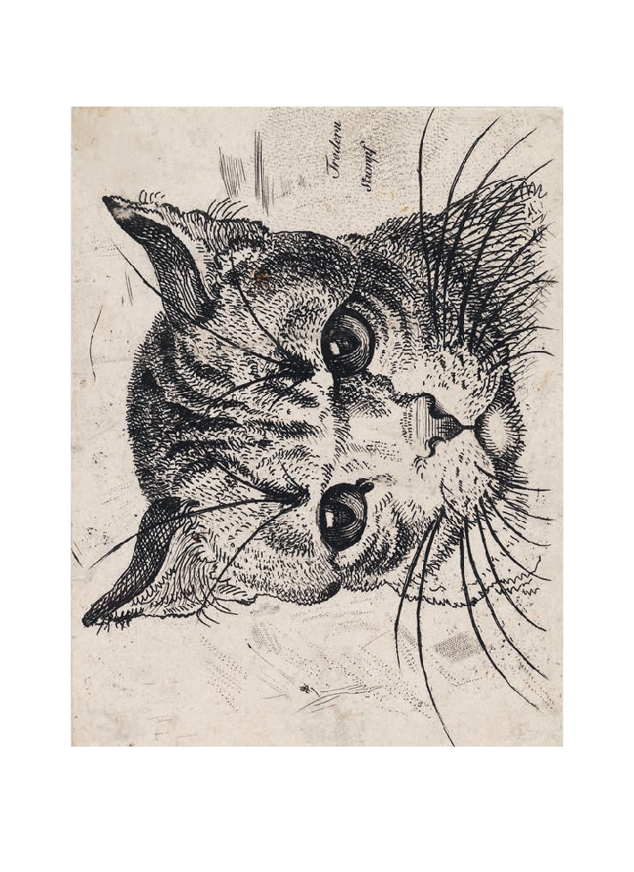 Cats of the V&A: 50 Postcards