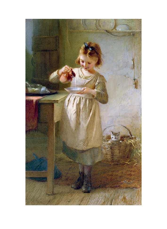 Cats of the V&A: 50 Postcards