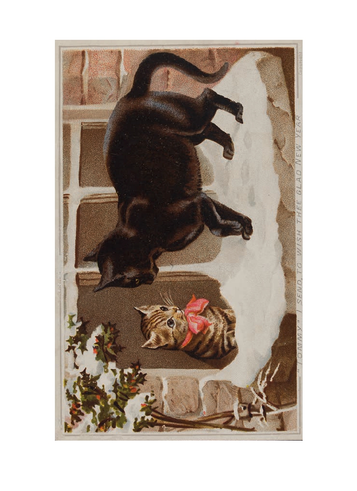Cats of the V&A: 50 Postcards