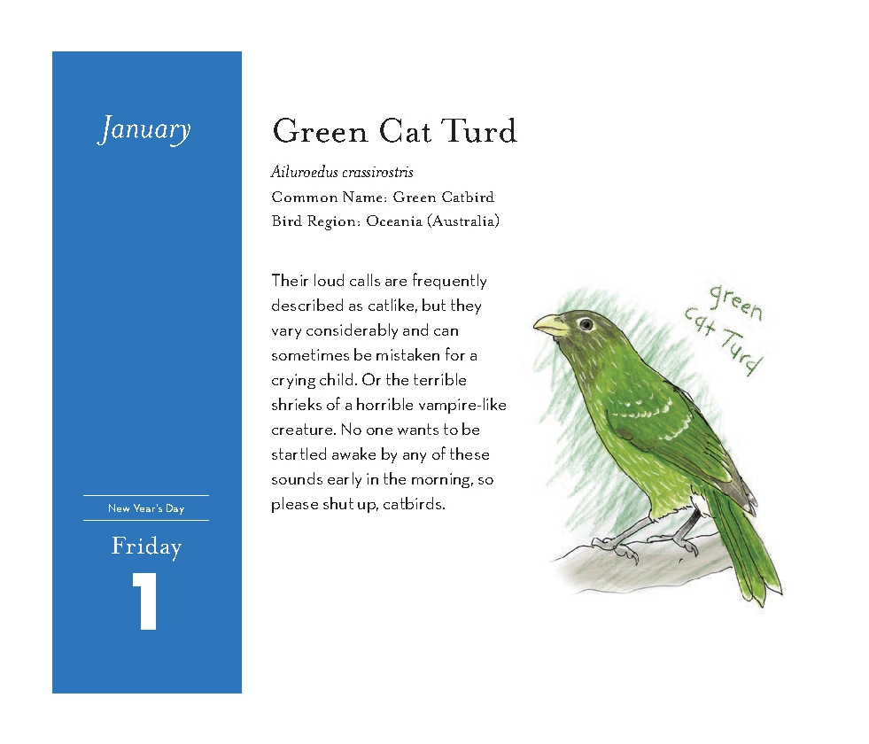 Field Guide to Dumb Birds 2027 Daily Calendar