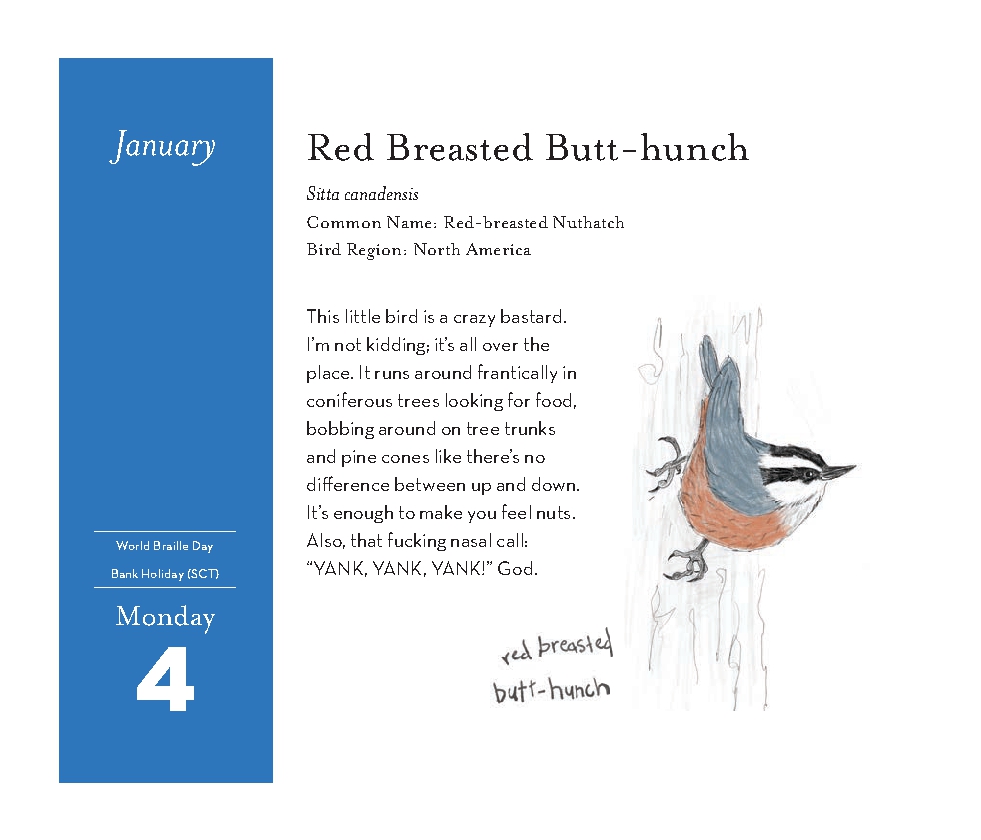Field Guide to Dumb Birds 2027 Daily Calendar