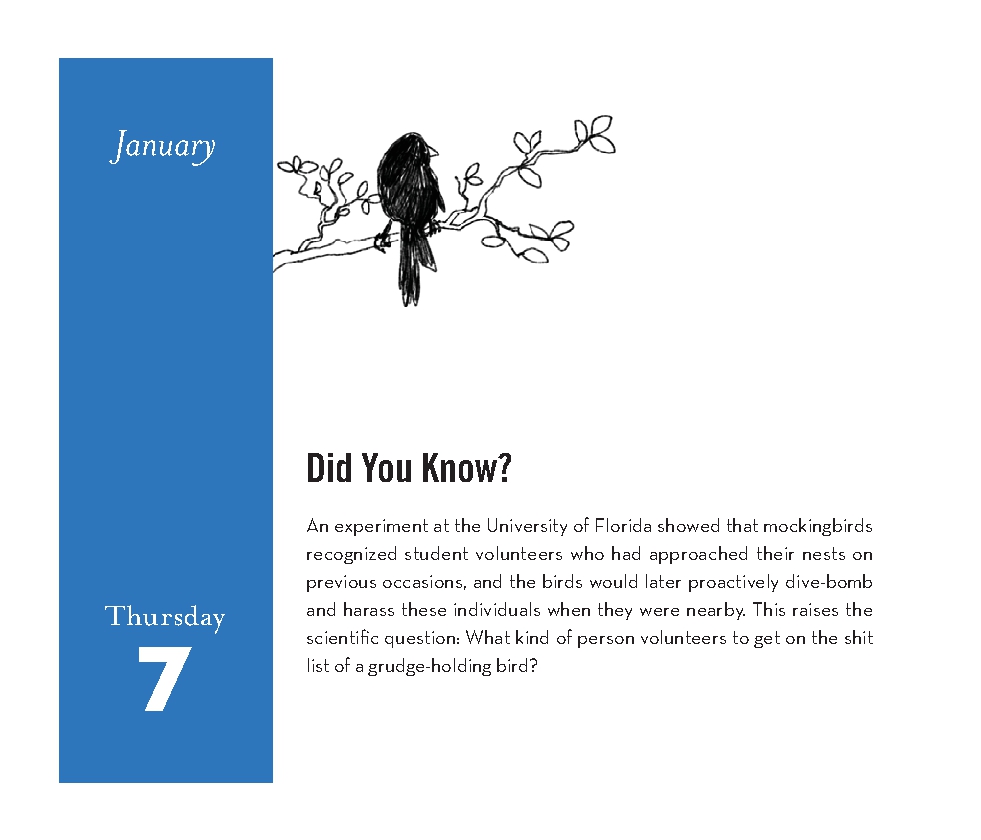 Field Guide to Dumb Birds 2027 Daily Calendar