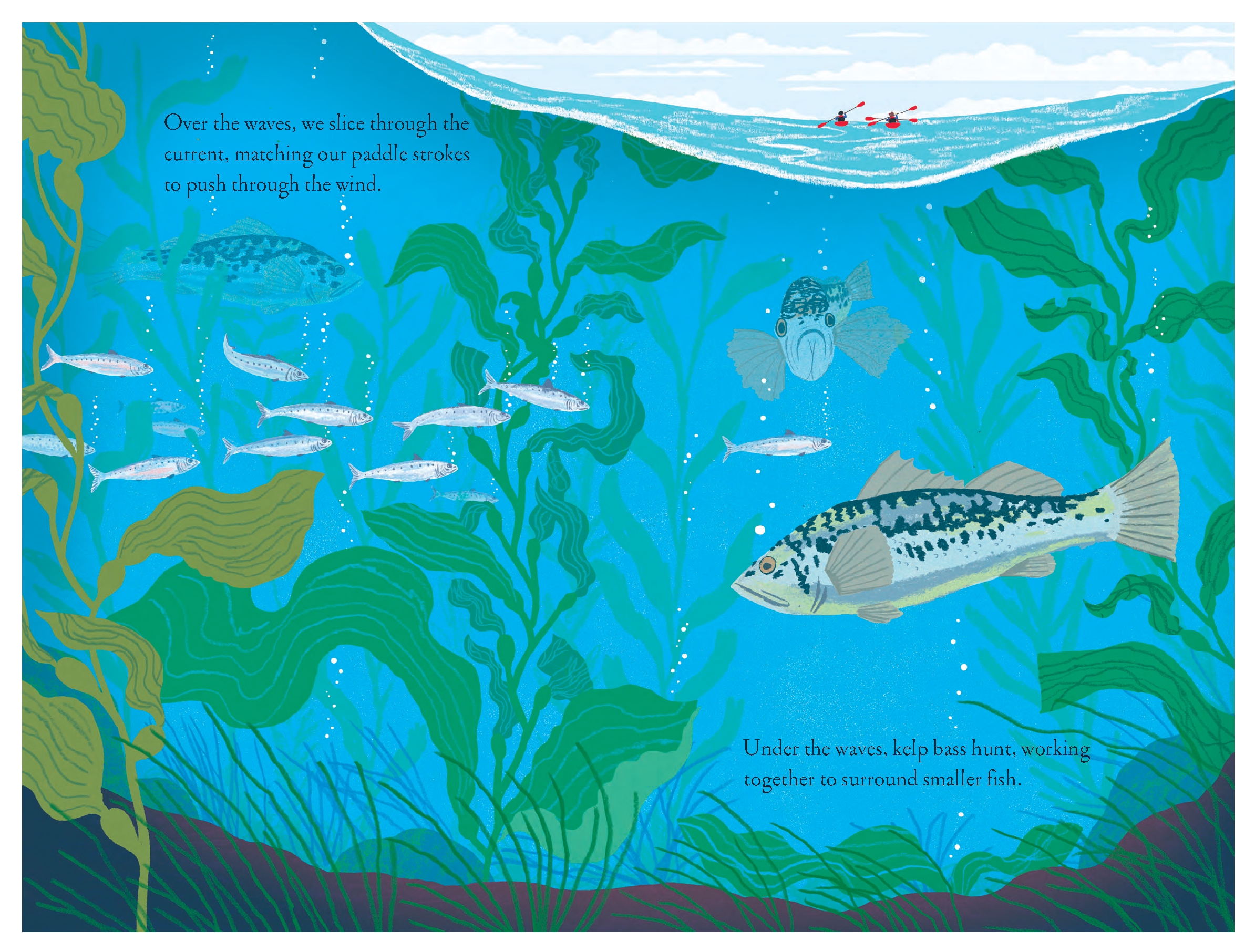 Over and Under the Waves