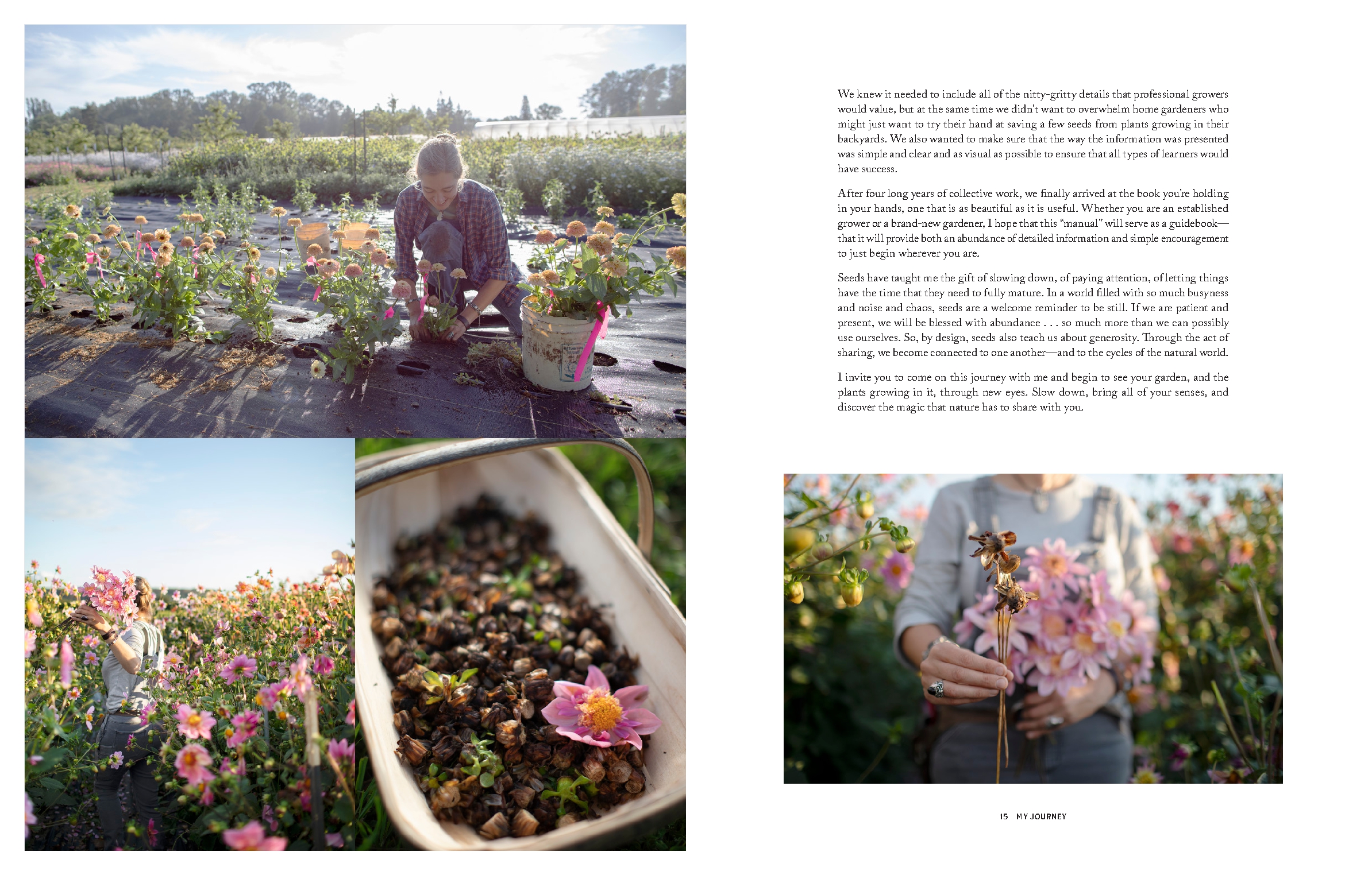 Floret Farm's Bloom to Seed