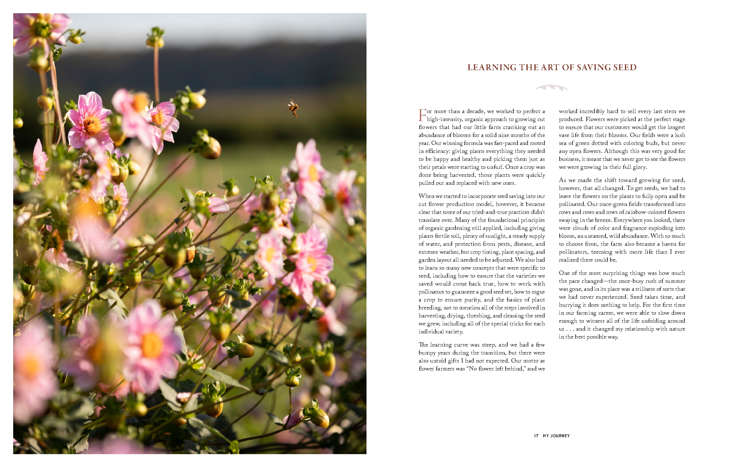 Floret Farm's Bloom to Seed