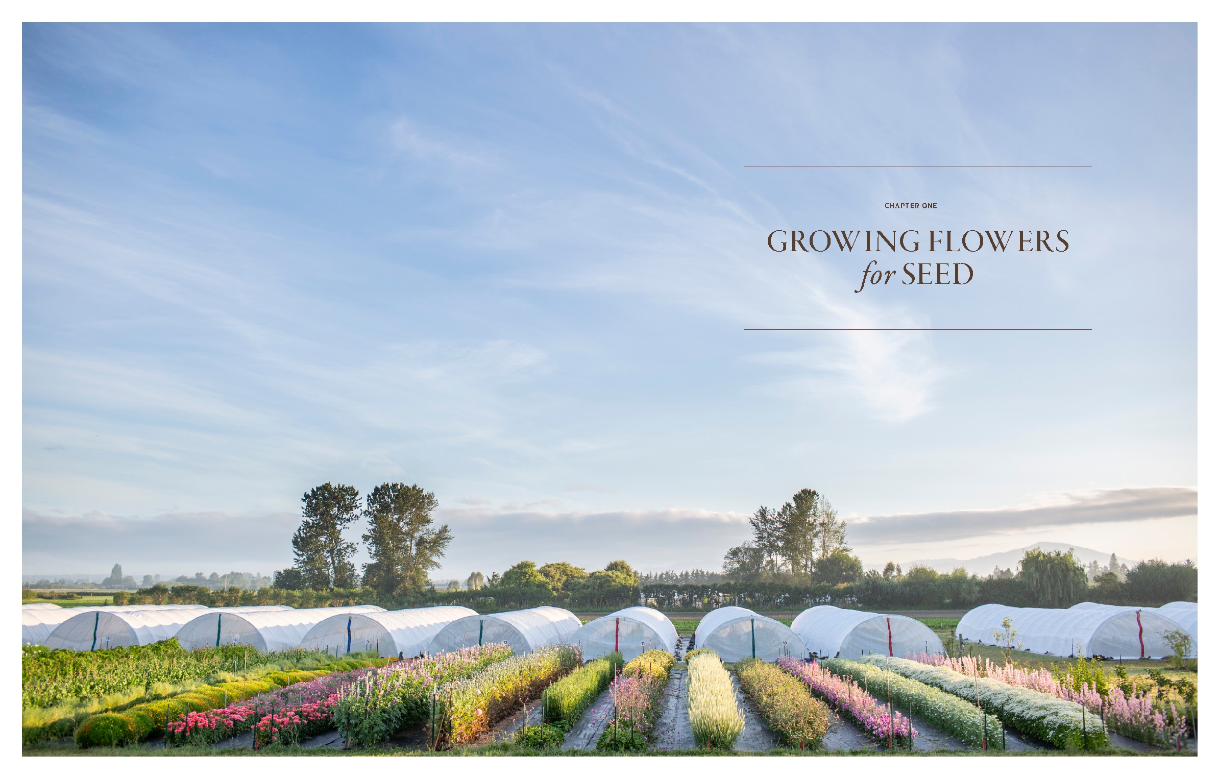 Floret Farm's Bloom to Seed