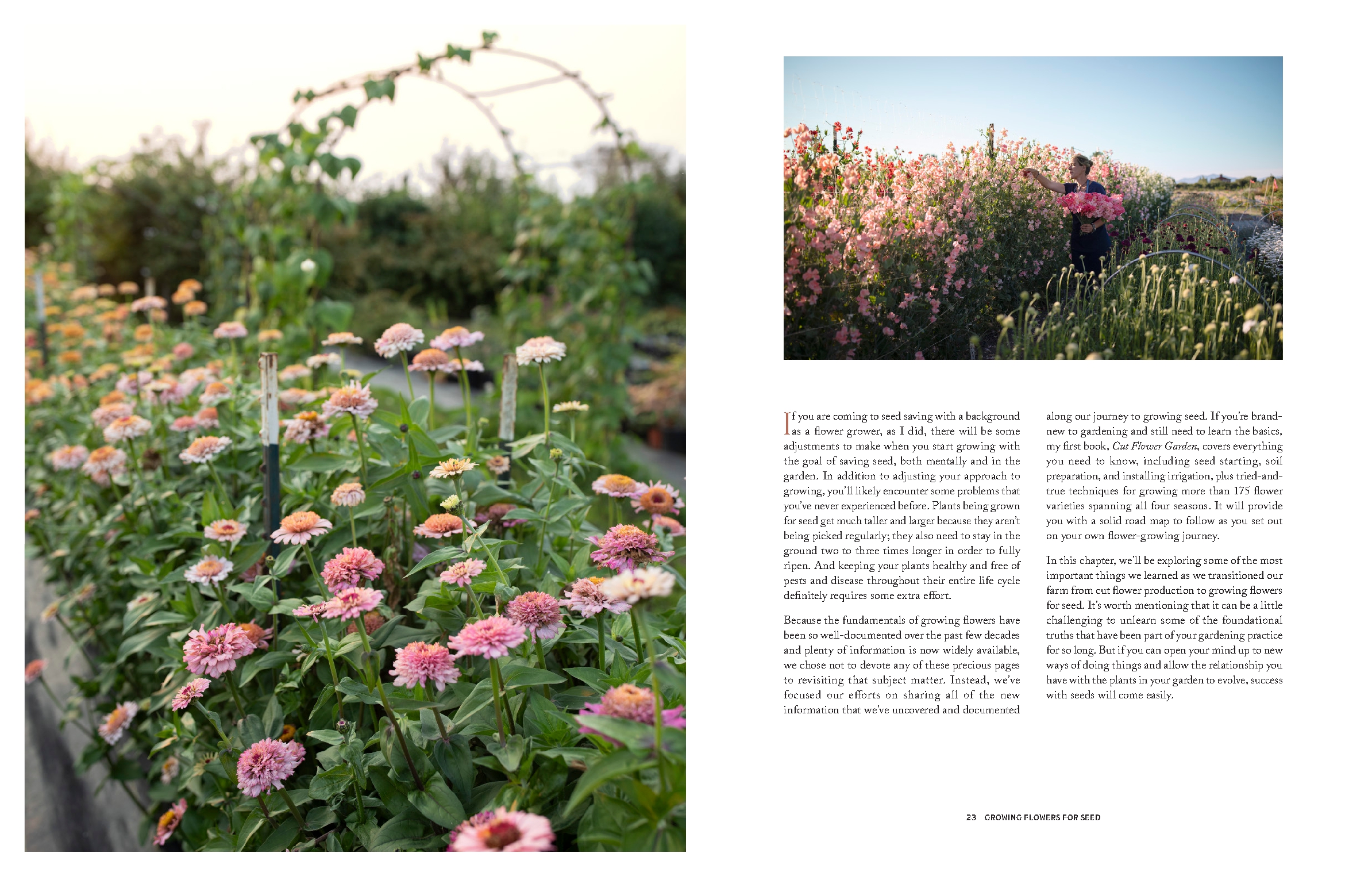 Floret Farm's Bloom to Seed