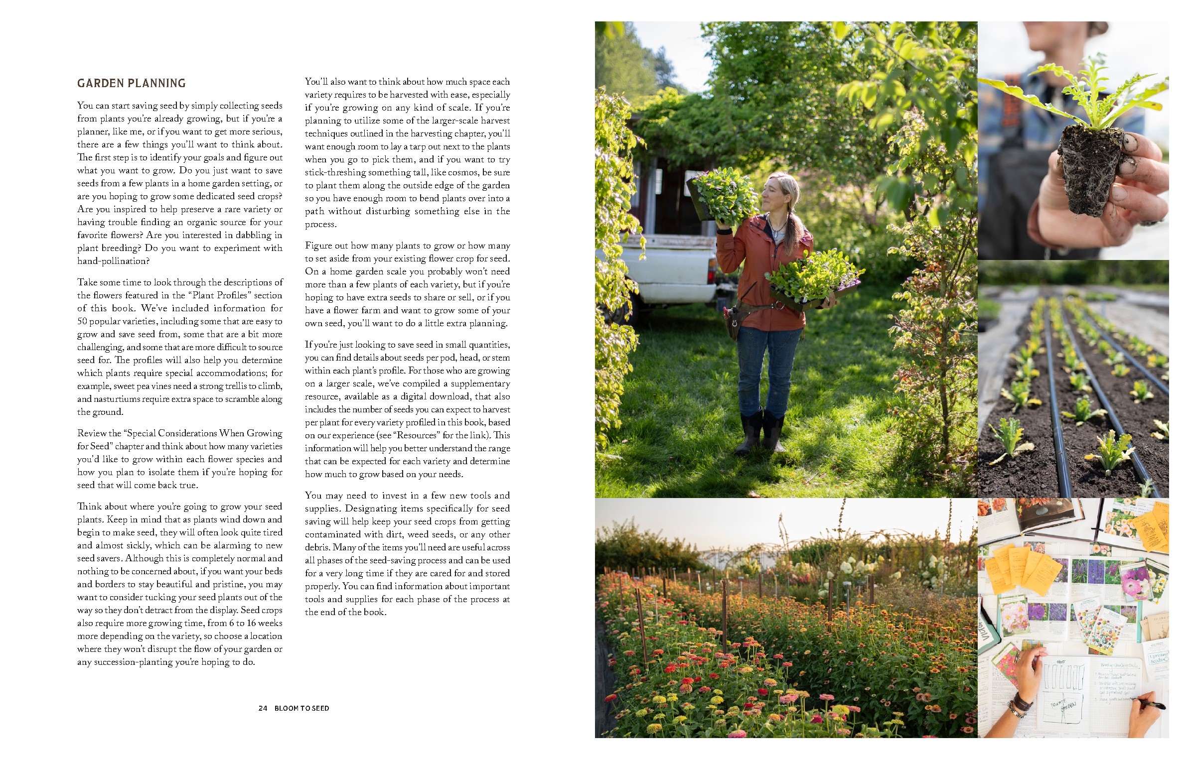 Floret Farm's Bloom to Seed