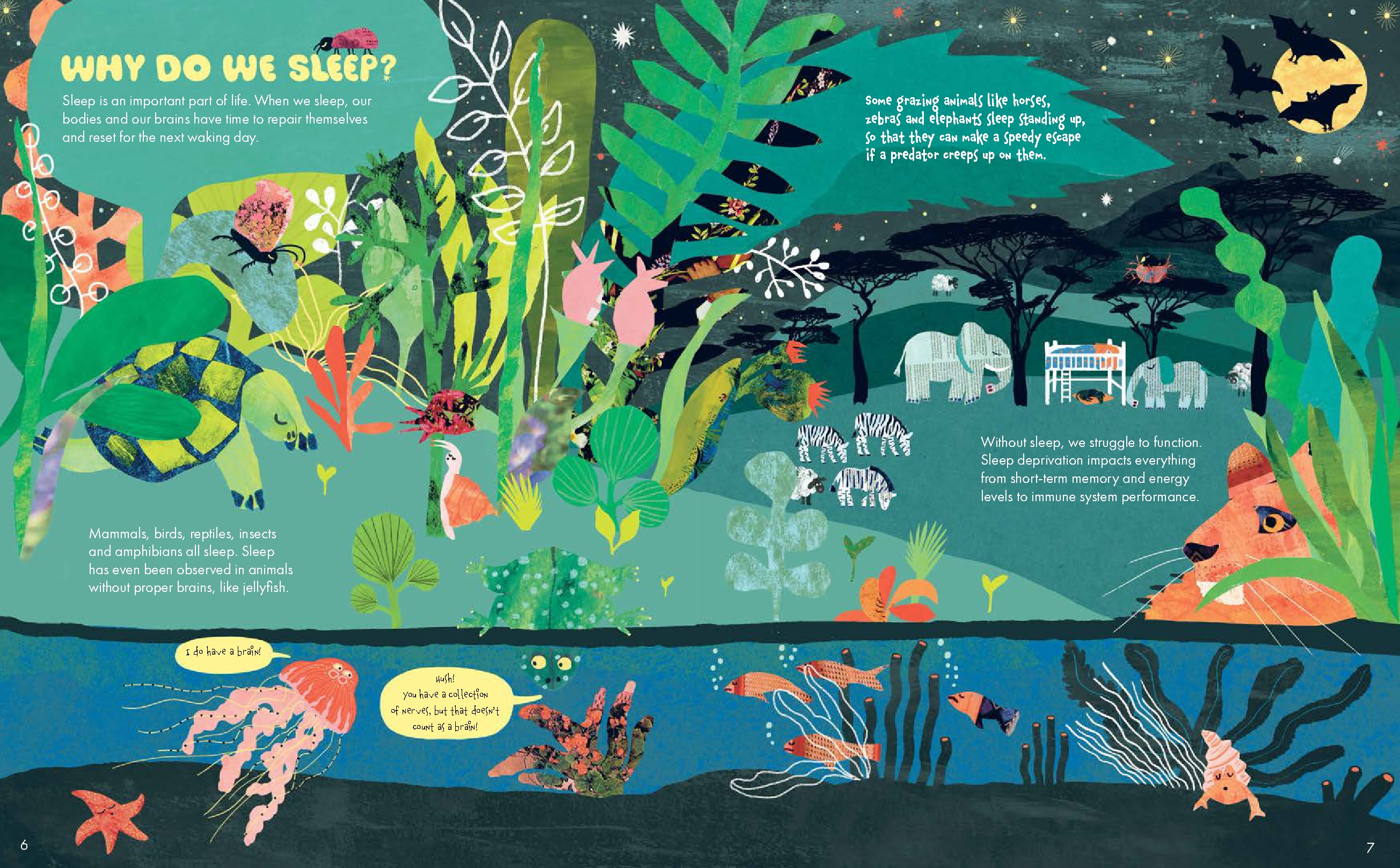 Why Do We Sleep?