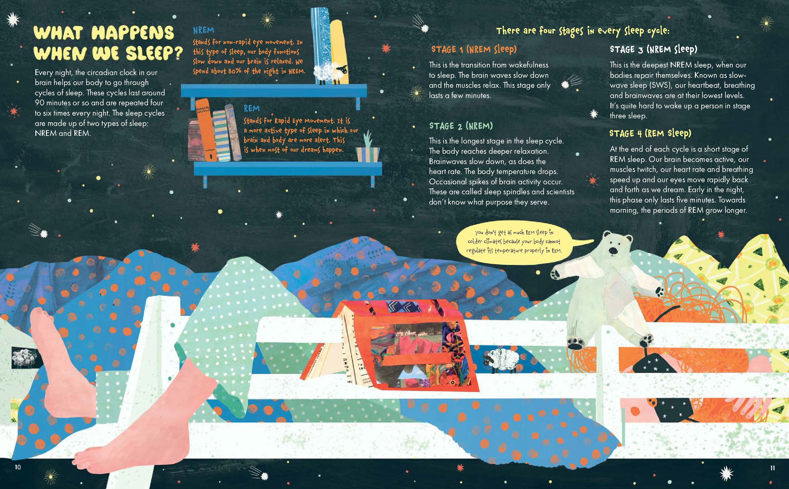 Why Do We Sleep?