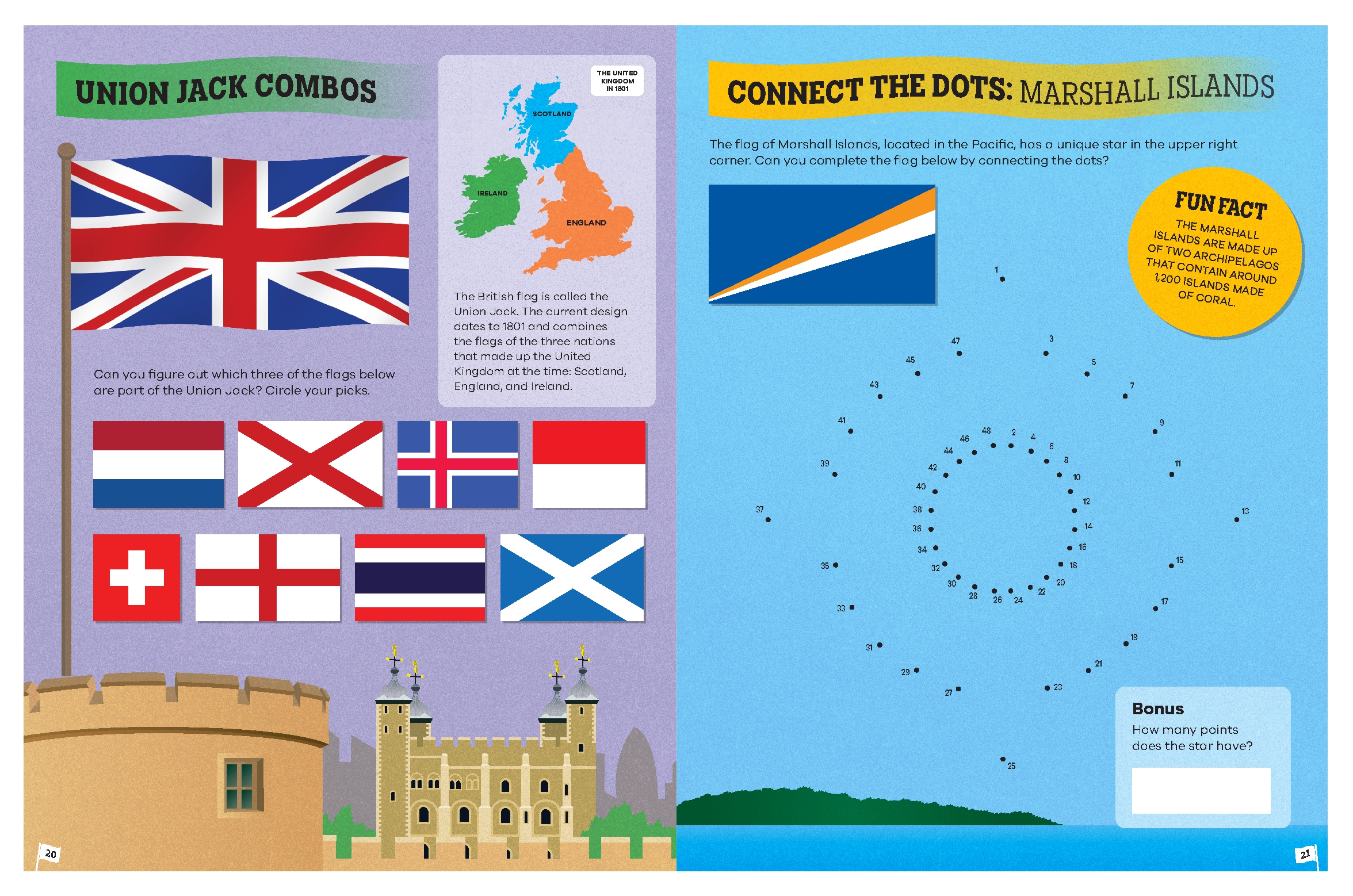 The Flag Activity Book