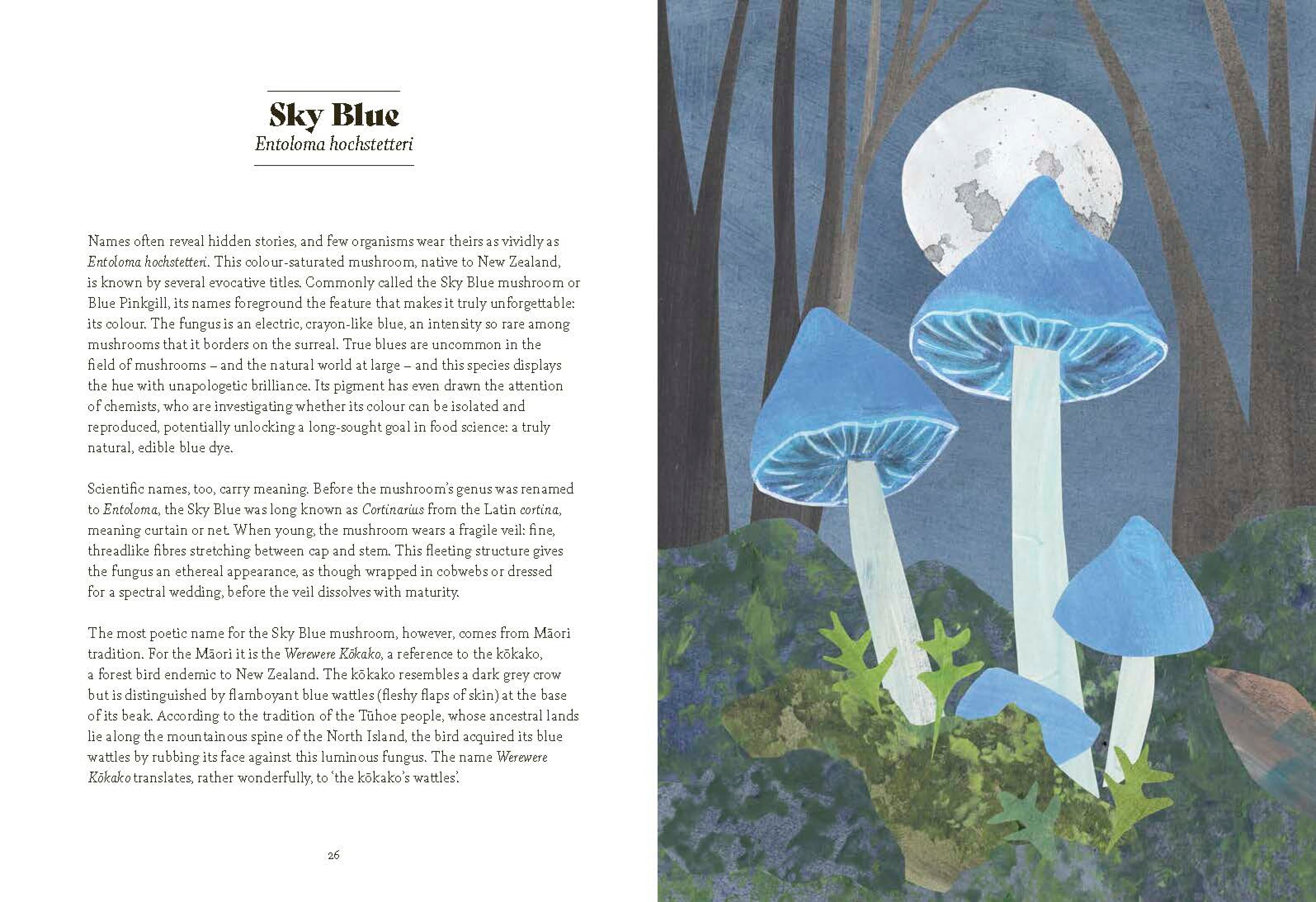 Fungi Lore