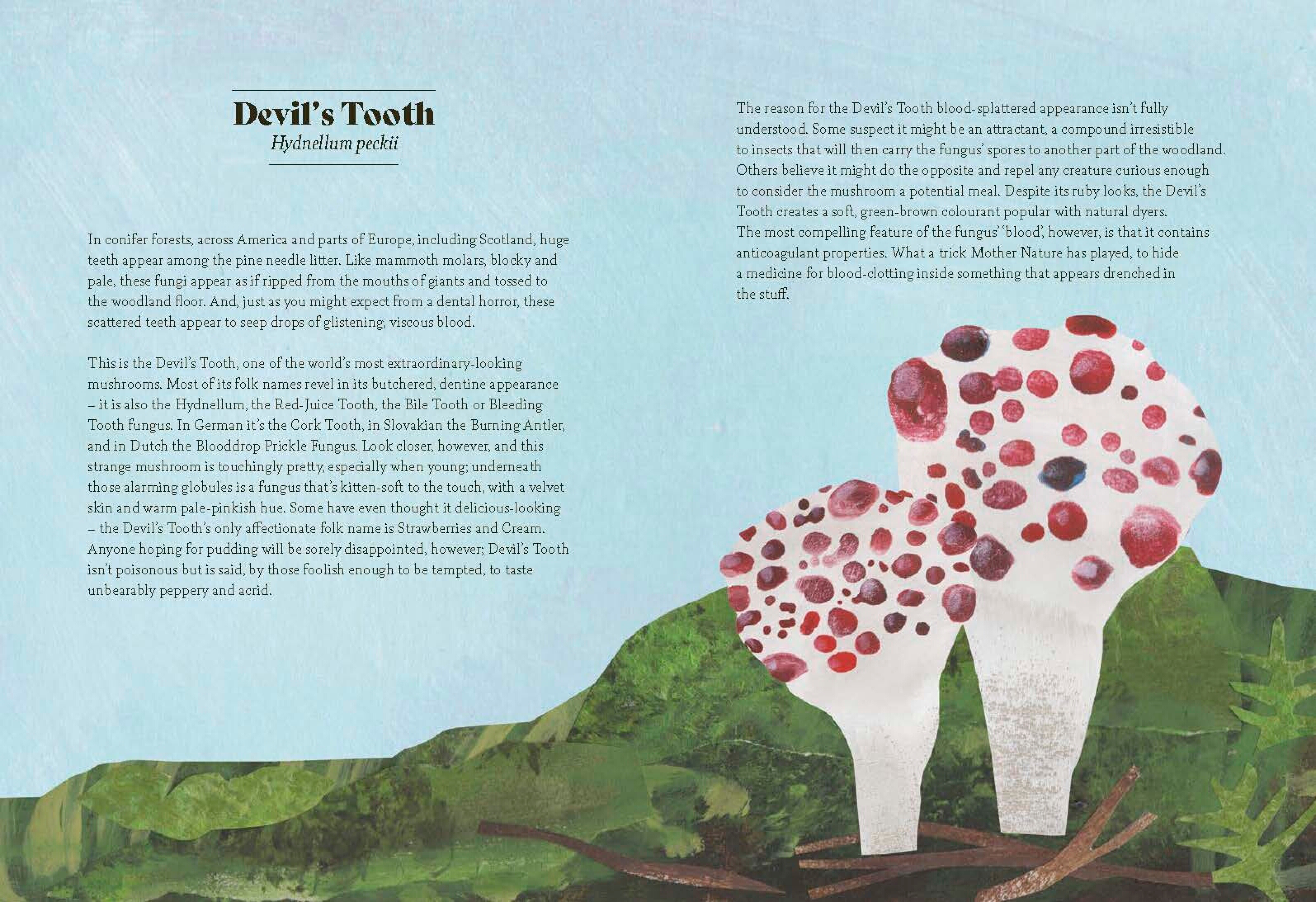 Fungi Lore