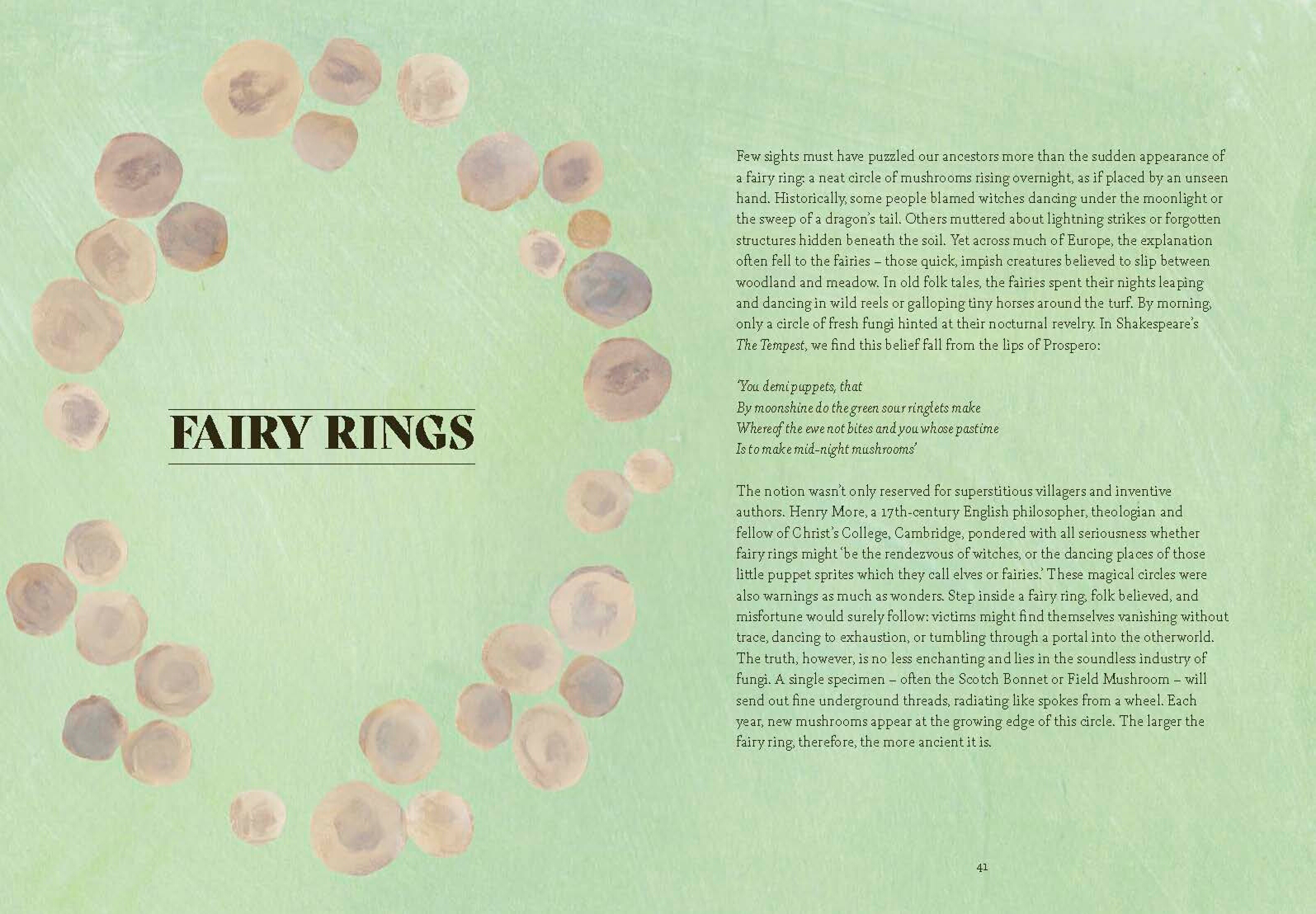 Fungi Lore