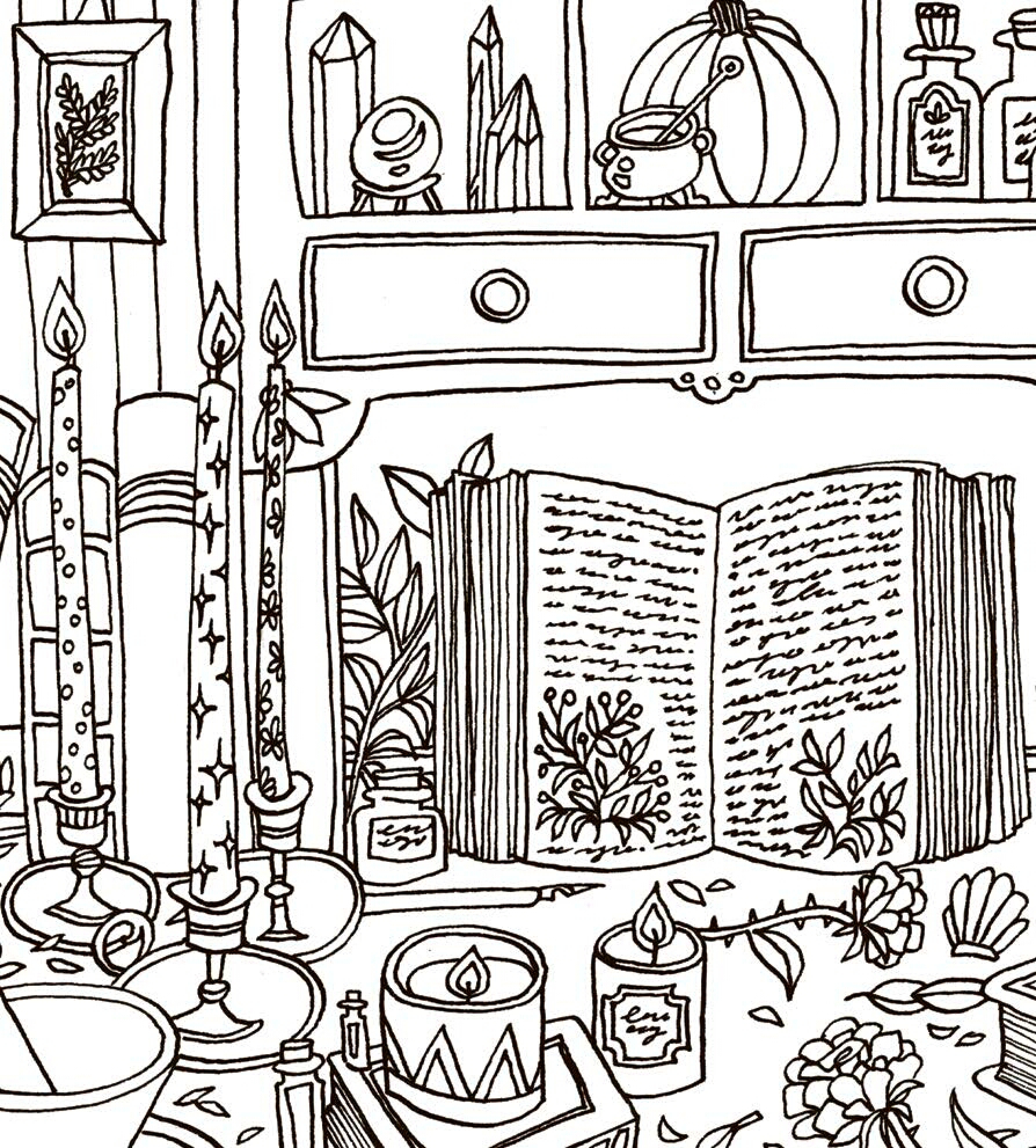 Into the Bookshop