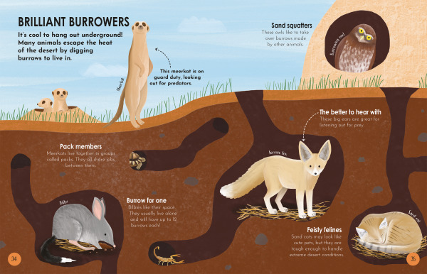 Animal Habitats