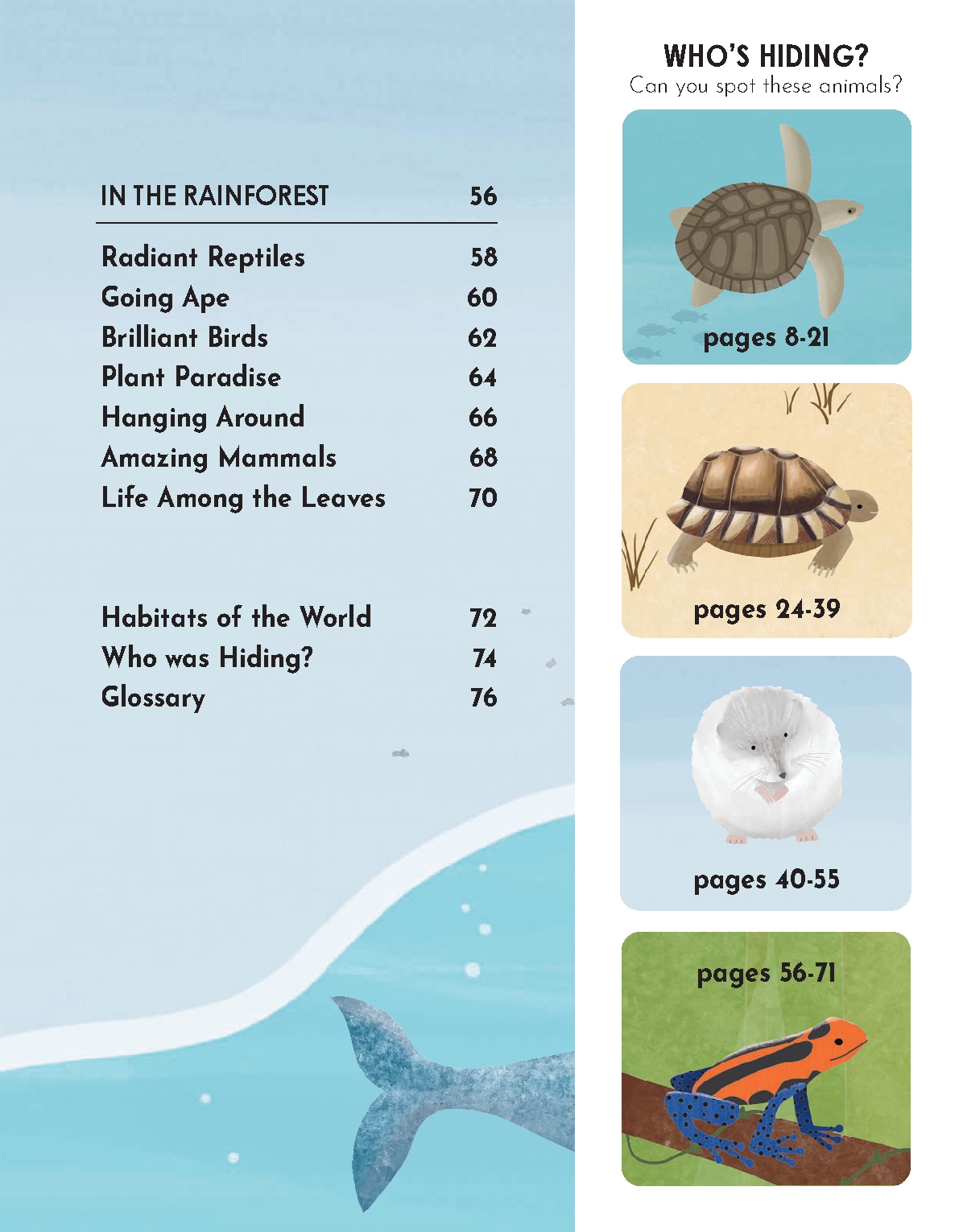 Animal Habitats
