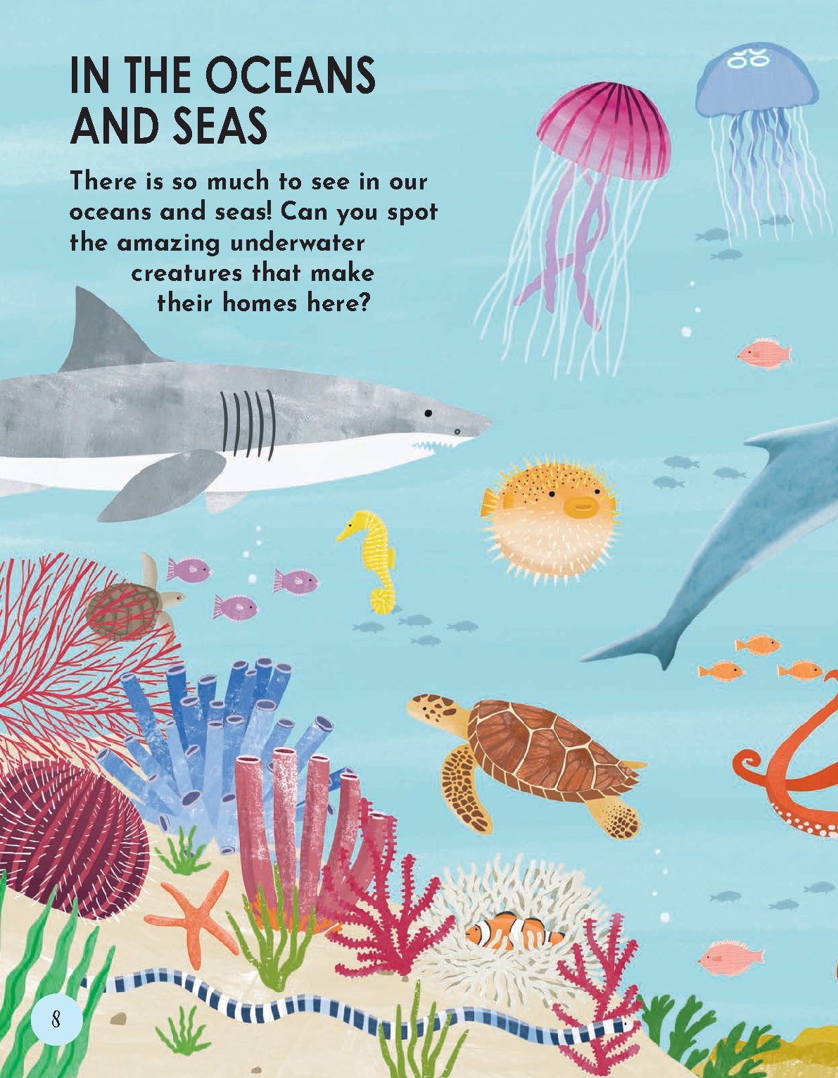Animal Habitats