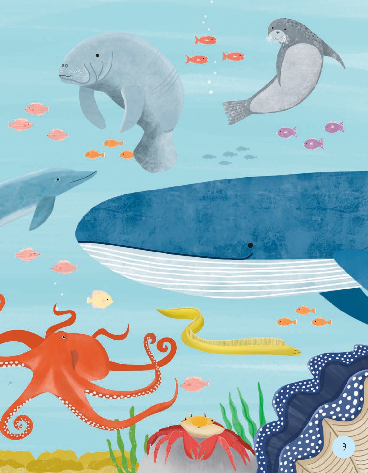 Animal Habitats