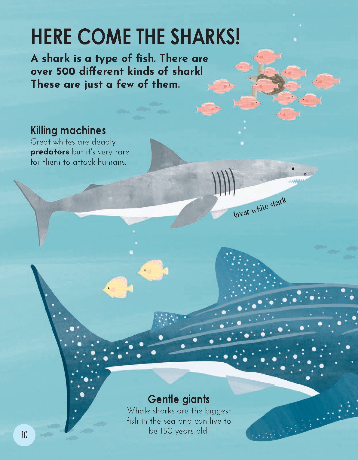 Animal Habitats