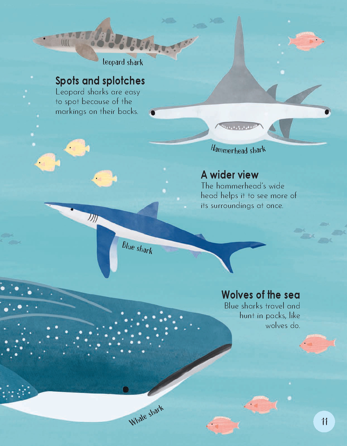 Animal Habitats