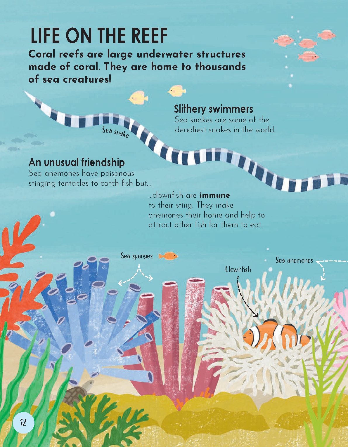 Animal Habitats