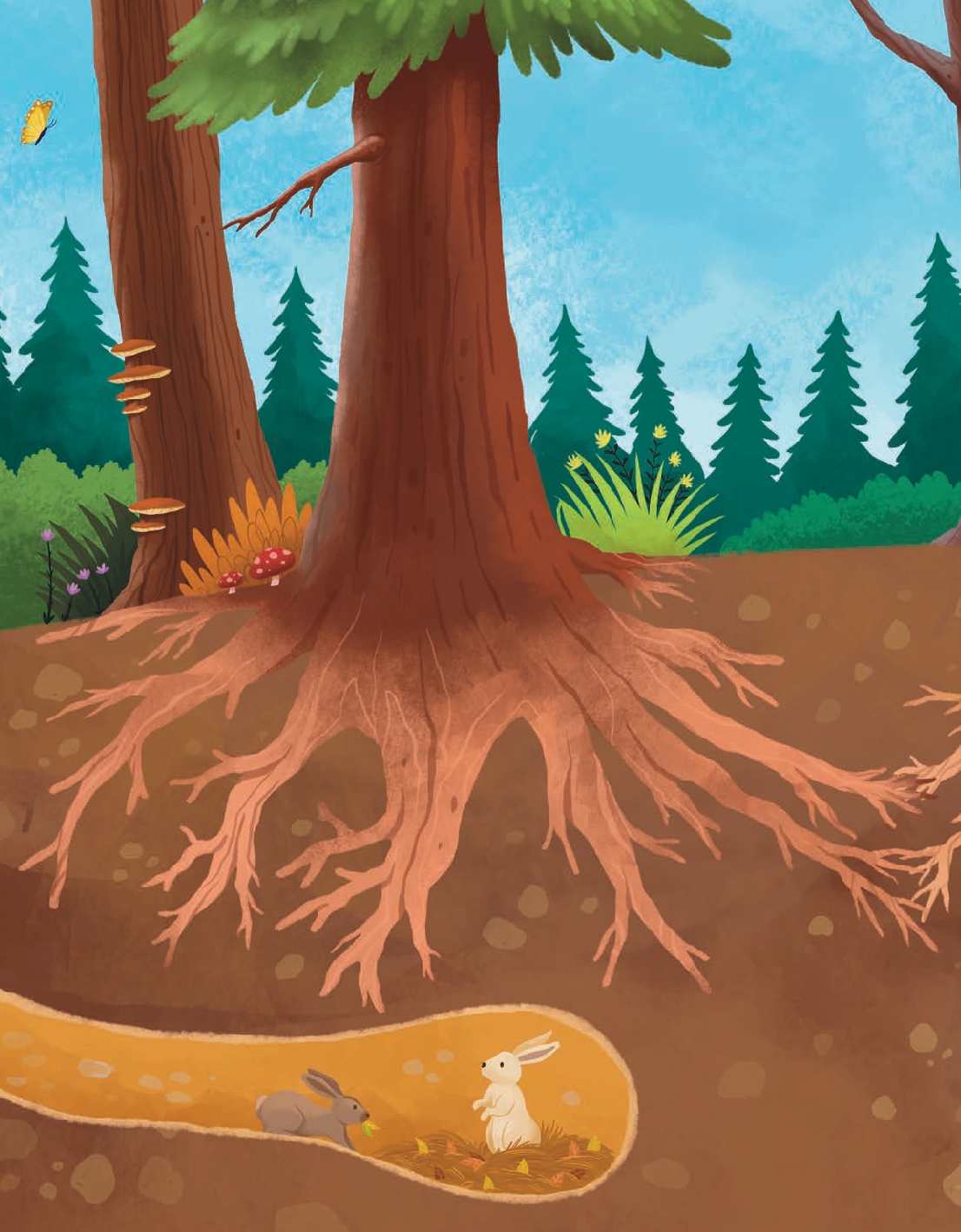 Can Trees Talk to Each Other?