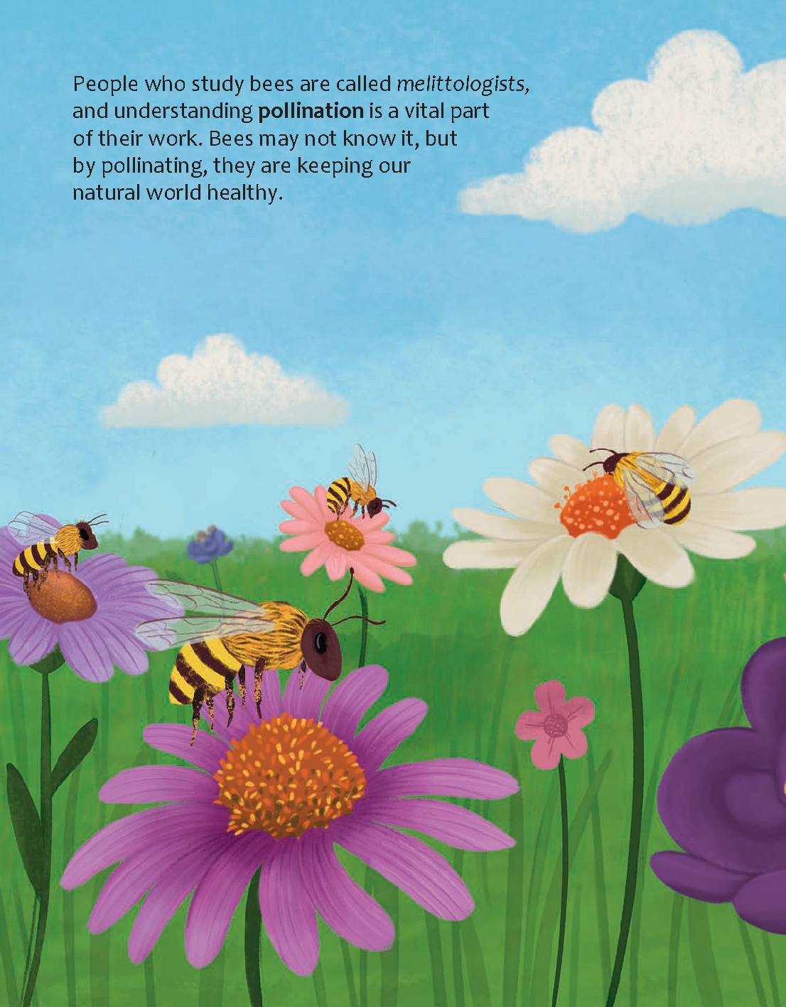 Are Bees Nature's Tiny Heroes?