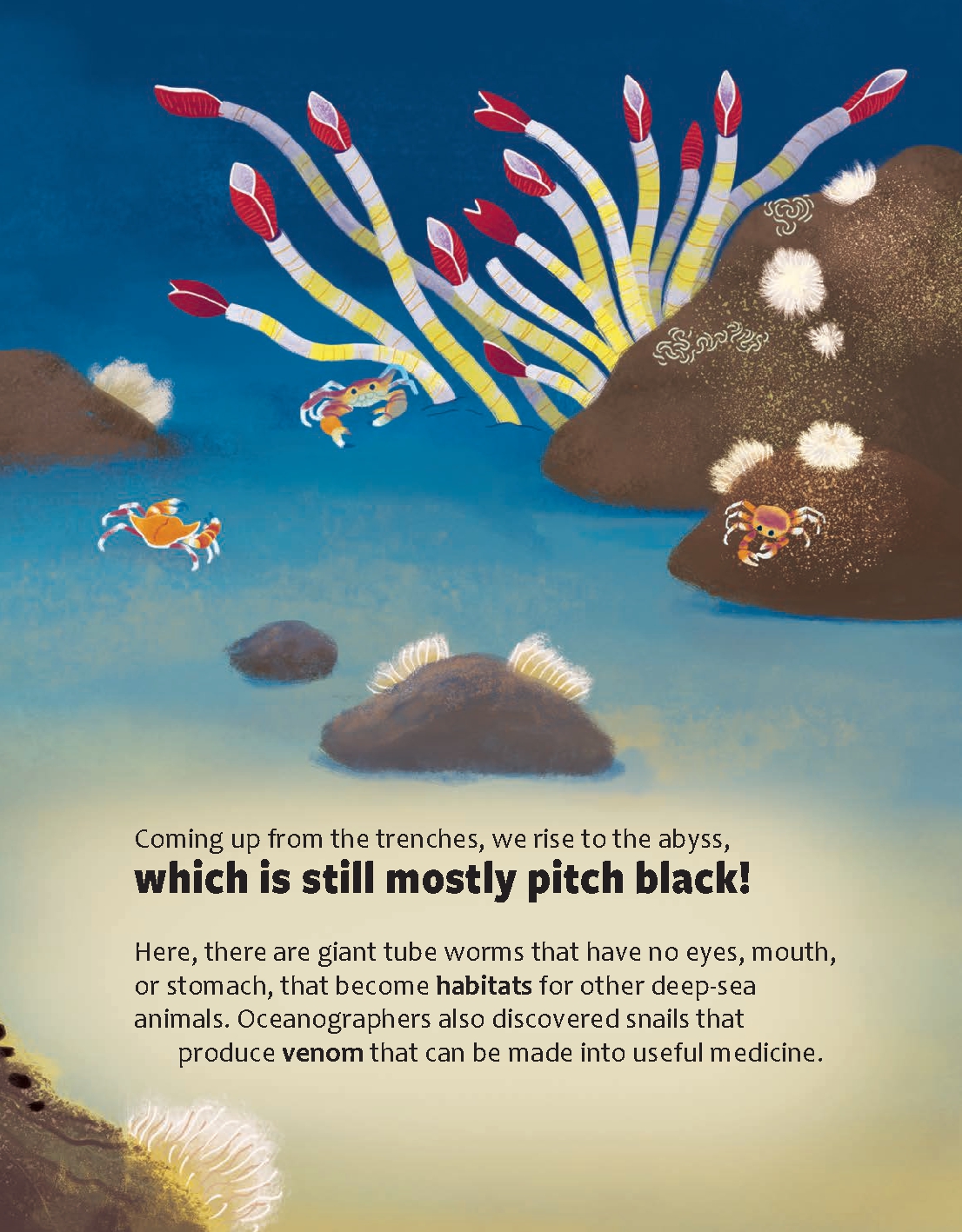 How Do Oceans Help Us Breathe?